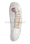 Fruitmot-spinsel-rups-14338-1