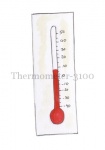 Thermometer-310089