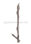 Appelboom-tak-182555
